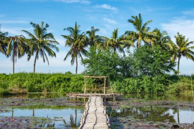 Bambu geçit ve bambu kulübe gölet üzerinde.
