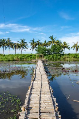 Bambu geçit ve bambu kulübe gölet üzerinde.