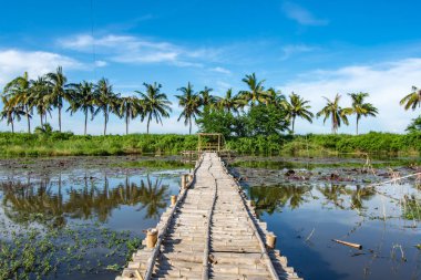 Bambu geçit ve bambu kulübe gölet üzerinde.