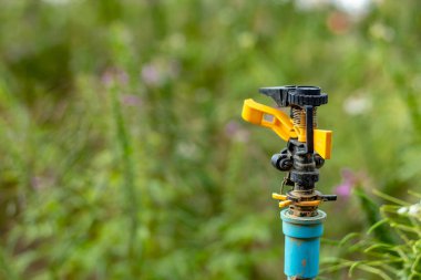 Arka plan yağmurlama plastik ve yeşil yaprak.