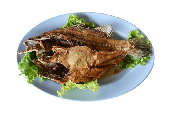 Pesce Dentice Fritto Verdure Sfondo Bianco — Foto Stock