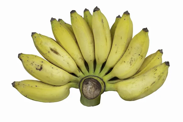 Стерти Банан Приготовані Їдять Білому Тлі — стокове фото