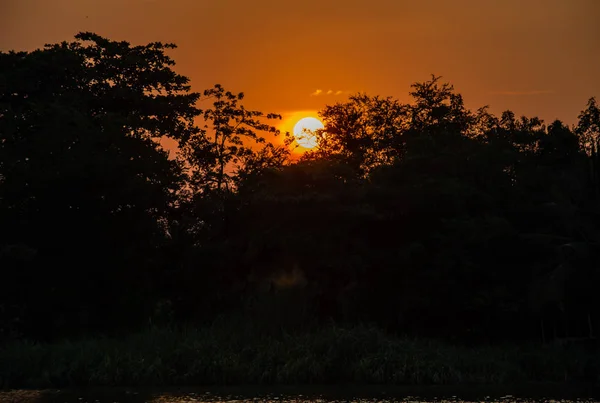 Belleza Una Puesta Sol Detrás Árbol Cielo Naranja Riverside —  Fotos de Stock