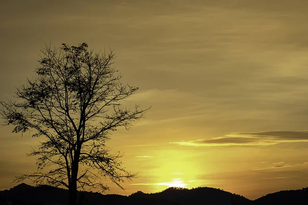 Das Morgensonnenlicht Hinter Den Bergen Und Dem Baum — Stockfoto