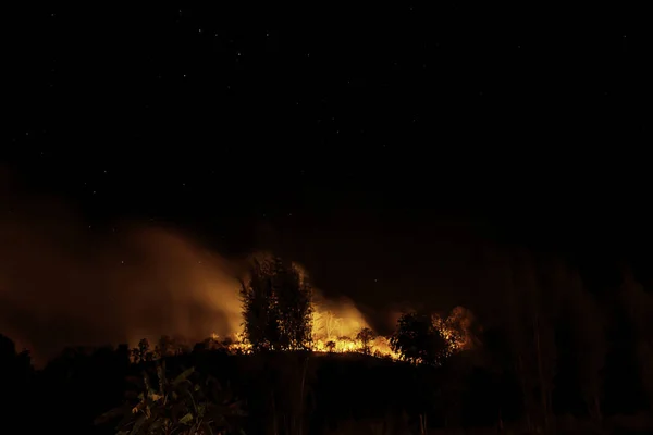 Fogo Estava Queimando Árvores Montanha Noite Com Todas Estrelas Céu — Fotografia de Stock