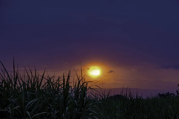 Захід Сонця Вечір Після Траву Гори — стокове фото