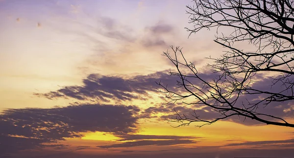 Закат Вечерний Свет Сквозь Облака Деревья — стоковое фото