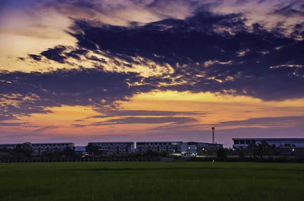 建物と水田の後ろに空の反射で雲と夕日の美しい光 — ストック写真