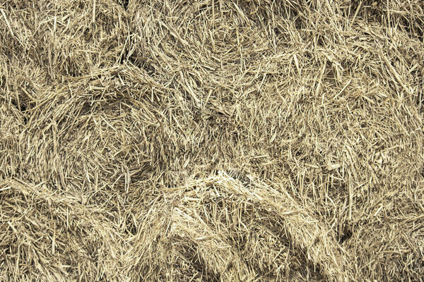 A pile of stacked straw Used as a background