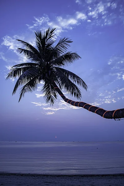 The beauty of the sunset sea under coconut palms at Haad salad Beach , koh Phangan