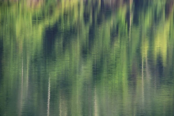 Bilder suddiga träd speglar från ytan av vattnet. — Stockfoto