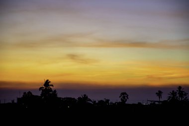 Sunset akşam bulutlar ve ağaçlar ışık.