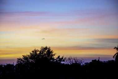 Sunset akşam bulutlar ve ağaçlar ışık.