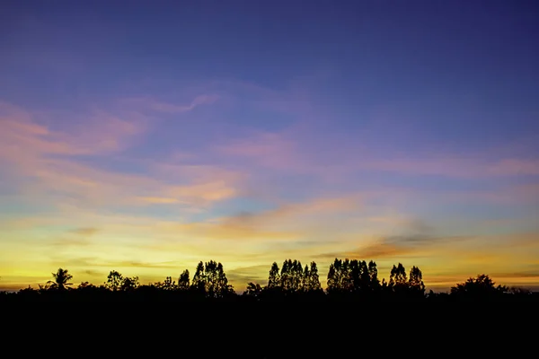 Sunset akşam bulutlar ve ağaçlar ışık. — Stok fotoğraf