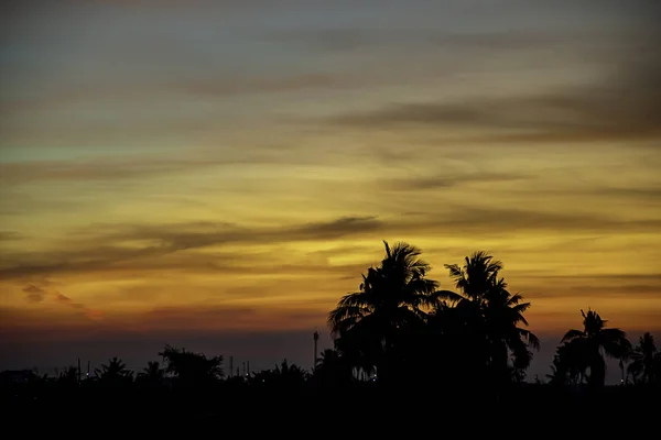 Matahari terbenam cahaya sore melalui awan dan pohon-pohon . — Stok Foto