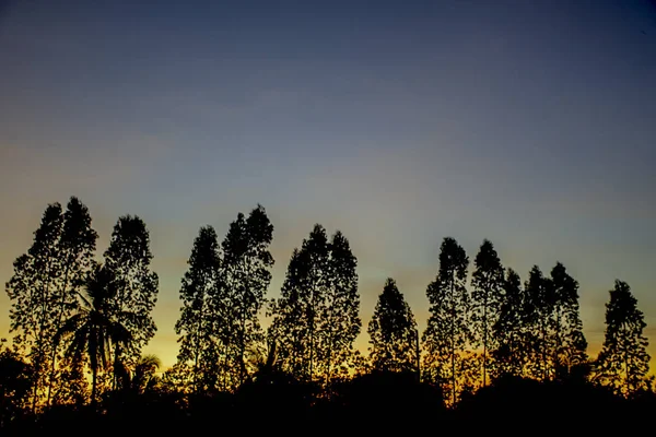 Закат вечерний свет сквозь облака и деревья . — стоковое фото