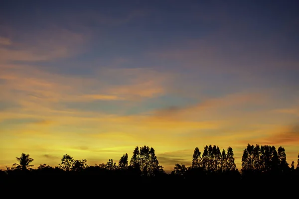 Tramonto la luce della sera tra le nuvole e gli alberi . — Foto Stock