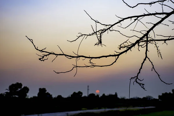 Sonnenuntergang das Abendlicht durch Wolken und Bäume. — Stockfoto