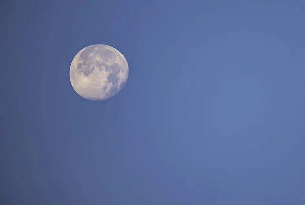 Fullmånen i dagsljus på den ljusa himlen. — Stockfoto