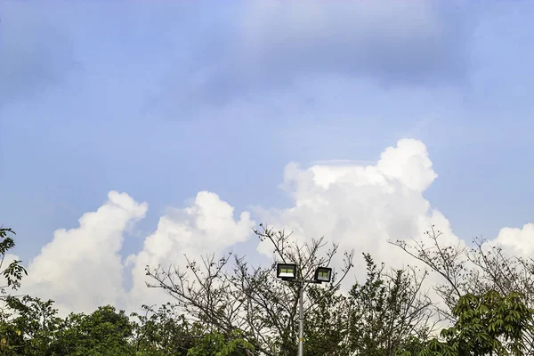 Tiang cahaya dan pohon latar langit dengan awan — Stok Foto