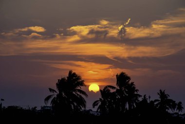Sunset akşam bulutlar ve ağaçlar ışık.