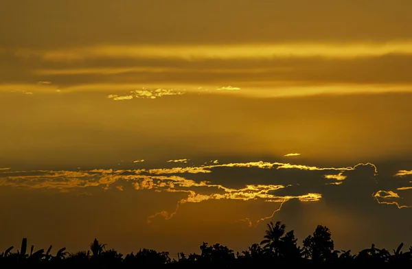 Zonsondergang de avond licht door de wolken en bomen. — Stockfoto