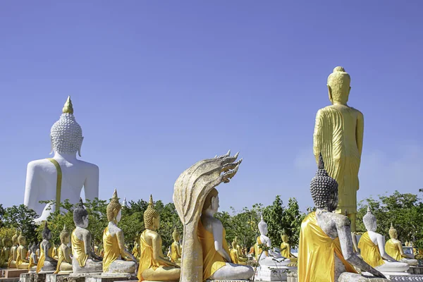 Behind the statue of Buddha  covered in yellow cloth Background sky at Wat Phai Rong Wua , Suphan Buri in Thailand. — Stock Fotó