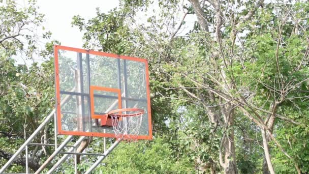 Basket Hoops Och Nät Skakar Bollen Tappade Bakgrunds Träd Park — Stockvideo