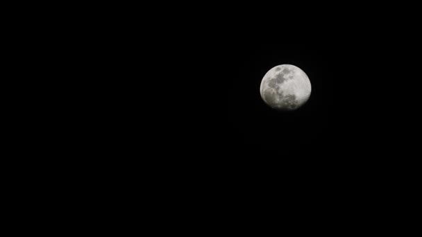 Luna Llena Cielo Oscuro Por Noche Subiendo Rápido — Vídeo de stock