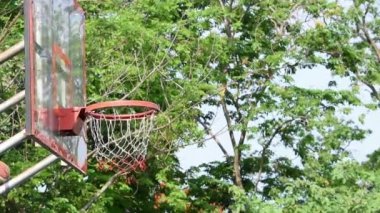 Basketbol çemberleri ve topu sallayarak ağlar bir parkta Arka plan ağaçları düştü