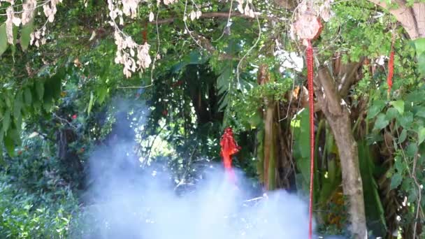 中国红鞭炮挂在树爆炸有烟 — 图库视频影像