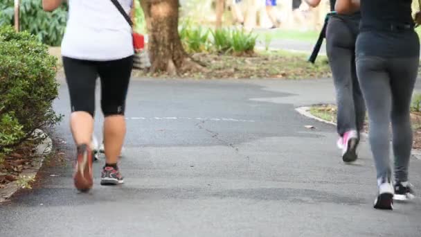 Bangyai Parkta Sağlık Için Yürüyüş Koşu Egzersiz Insanlar Tayland Nonthaburi — Stok video