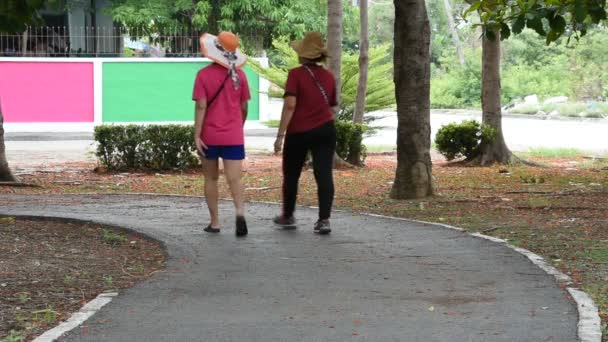 Mulheres Andar Correr Exercício Para Saúde Parque Bangyai Nonthaburi Tailândia — Vídeo de Stock