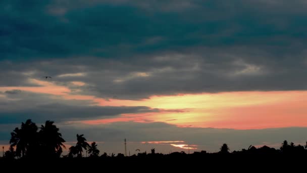 Riflesso Del Tramonto Con Nuvole Ombre Alberi Uccelli Volano Nel — Video Stock