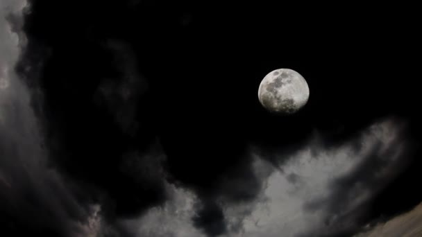 Movimiento Lapso Tiempo Cráteres Superficie Luna Llena Cielo Oscuro Las — Vídeos de Stock