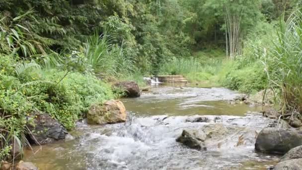 トンパプム国立公園のジョクラディン滝の山から流れる滝 カンチャナブリ — ストック動画