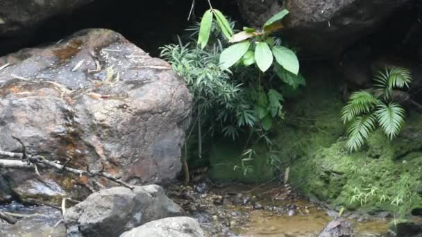 Водоспад Тече Гір Jokkrainin Водоспад Тхонґпхапгума Національний Парк Канчанабурі Таїланді — стокове відео