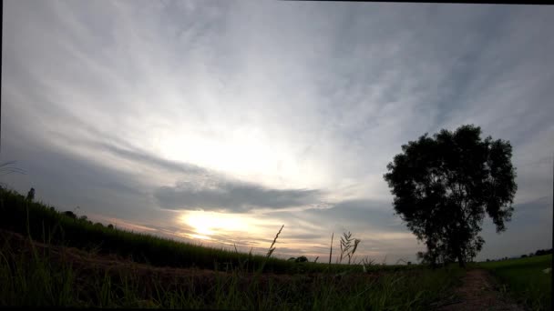 Time Lapse Mozgás Rice Uralkodik Szél Felhők Gyorsan Mozgó Este — Stock videók