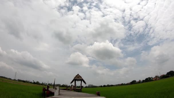 Time Lapse Motion Les Huttes Construites Partir Bois Feuilles Sèches — Video