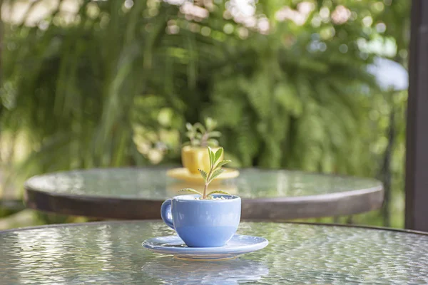 Árvore em copo de vidro azul na mesa de vidro . — Fotografia de Stock