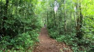 Turistler toprak yolda yürüyor ve ormanın her iki tarafında Phu Hin Rong Kla, Phetchabun, Tayland 'da birçok yeşil ağaç var. 30 Temmuz 2019