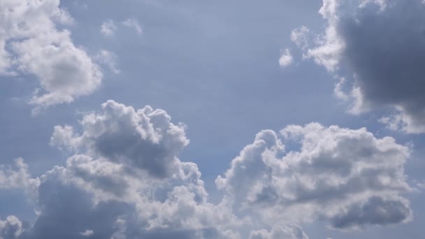 시간이 흐름에 따라 구름은 빠르게 움직이고 새들은 낮에 밝은 하늘을 날아 다닙니다.. — 비디오