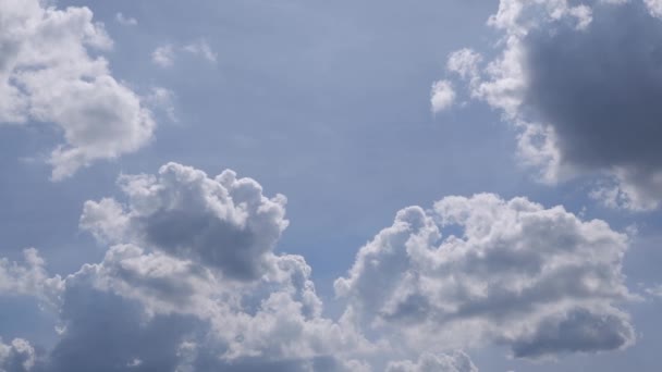 De schoonheid van de wolken is prachtig en vogels vliegen overdag aan de hemel.. — Stockvideo