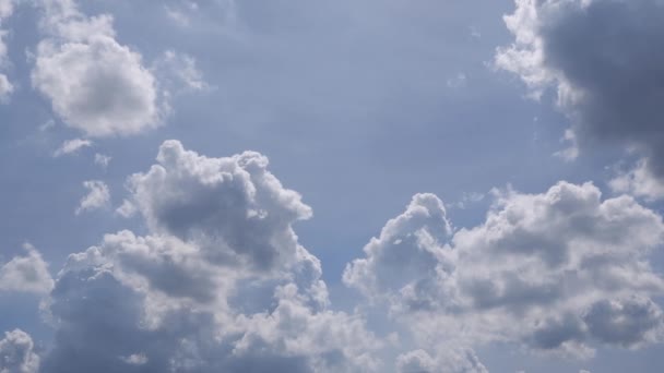 구름의 아름다움은 아름답고 낮에는 새들이 하늘을 나는 모습은. — 비디오