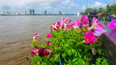 Amur Nehri yaz sel