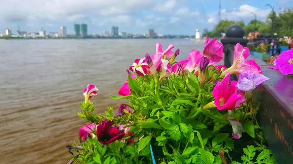 Amur River Summer Flood — Stock Photo, Image