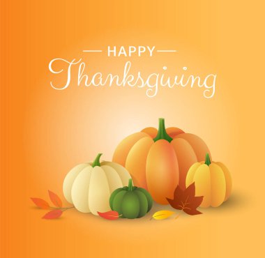 Şükran Günün kutlu olsun. Turuncu arka planda farklı kabaklar