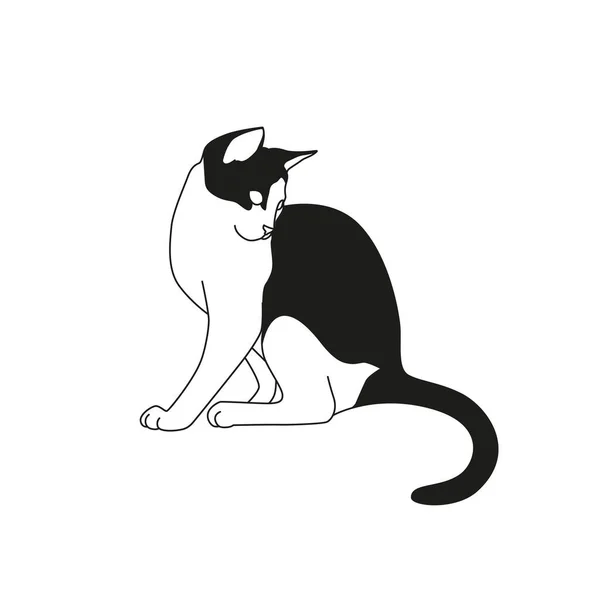 Gato Con Manchas Negras Dibujando Estilo Minimalista Para Tatuaje Ilustración — Vector de stock