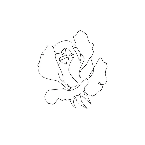 Egysoros Virág Illusztráció Vonalművészet Rózsa Virág Nyomtatáshoz Tetoválás Kártya Meghívó — Stock Vector