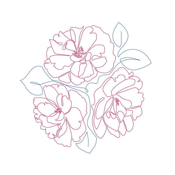 Minimalistische Botanische Kunst Florale Linienkunst Mit Pfingstrosenblüten Und Blättern Eine — Stockvektor